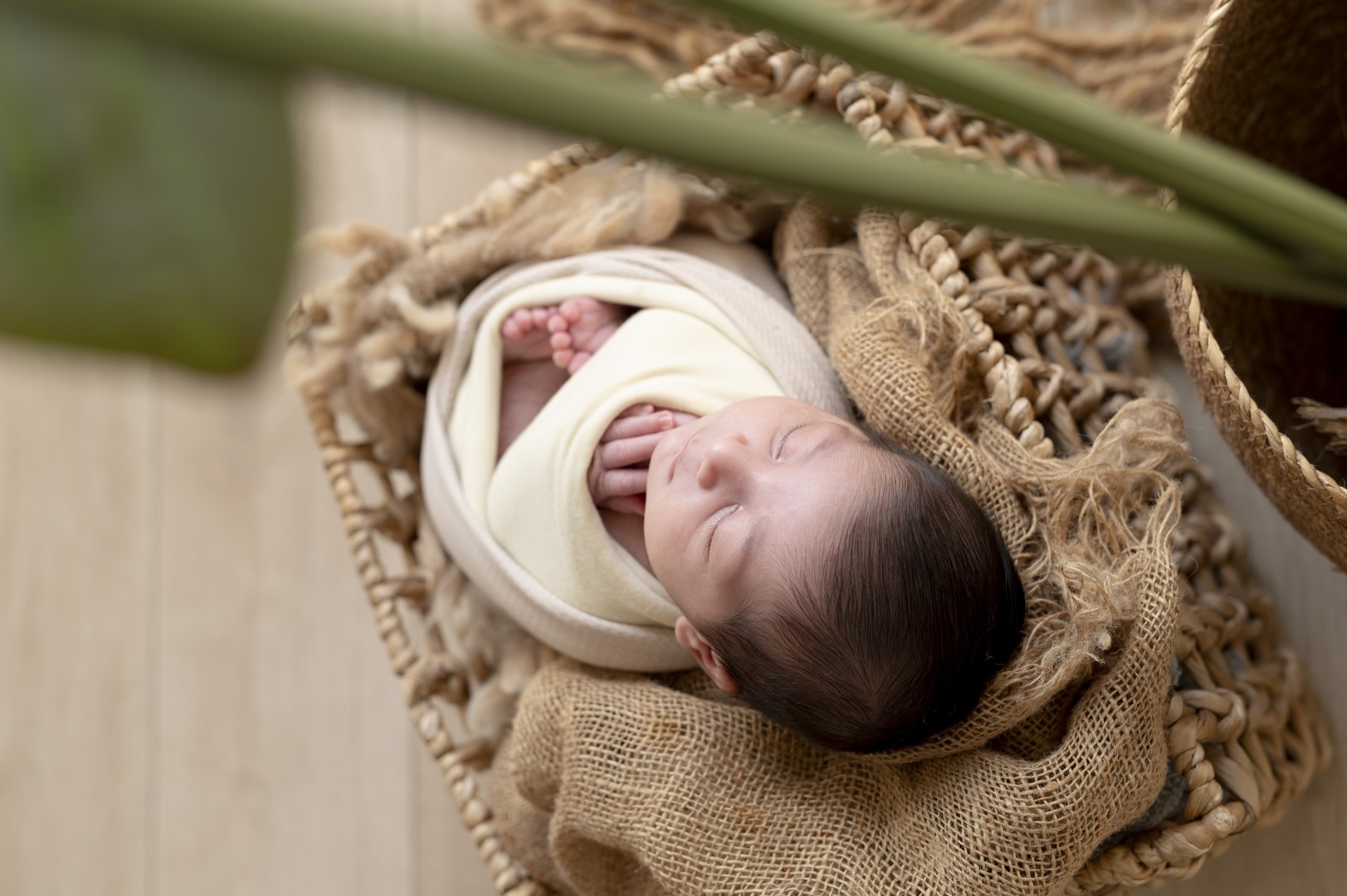 צילומי ניובורן 11